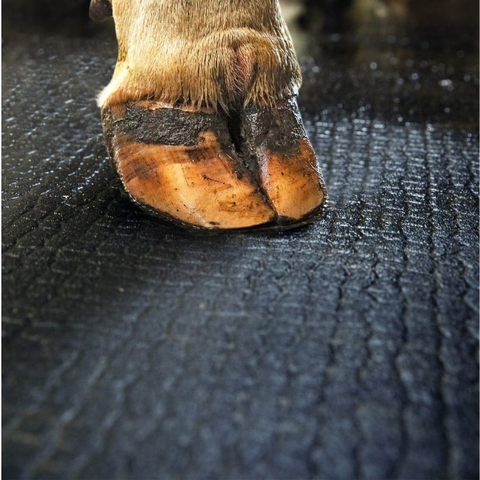 Kraiburg Kura Cow Comfort Mats